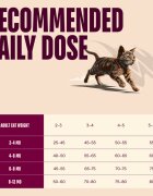Carnilove True Fresh Kittens Vită hrană uscată fără cereale pisici junior 400g