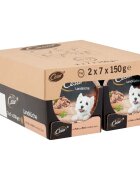 CESAR Tocăniță de țară Curcan Vită și Ierburi taviță hrană umedă câini (în suc propriu) 150g