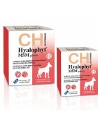 Chemical Iberica Hyalophyt MSM Giants supliment sistem articular câini comprimate Hyalophyt MSM Giants L-XL supliment sistem articular câini cutie 30 comprimate
