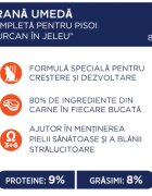 Club 4 Paws Curcan plic hrană umedă pisici (în aspic) 85g