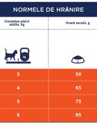 Club 4 Paws Hairball Control Găină hrană uscată pisici limitarea ghemurilor de blană 2kg