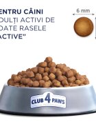 Club 4 Paws Premium Active Pui hrană uscată câini activitate intensă Premium Active XS-XL Pui hrană uscată câini activitate intensă 14kg