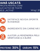 Club 4 Paws Premium Active Pui hrană uscată câini activitate intensă Premium Active XS-XL Pui hrană uscată câini activitate intensă 14kg