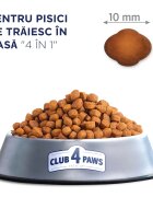 Club 4 Paws Premium Indoor Pui hrană uscată pisici 14kg