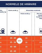Club 4 Paws Premium Indoor Pui hrană uscată pisici 14kg