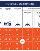 Club 4 Paws Premium Kitten Pui hrană uscată pisici junior 300g