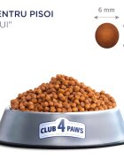 Club 4 Paws Premium Kitten Pui hrană uscată pisici junior 5kg