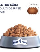Club 4 Paws Premium L-XL Pui hrană uscată câini 14kg