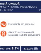Club 4 Paws Premium Miel hrană umedă pisici (în sos) Premium Miel plic hrană umedă pisici (în sos) bax 100g x 24buc
