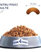 Club 4 Paws Premium Pui hrană uscată pisici 900g