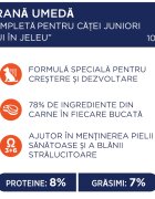 Club 4 Paws Premium Puppy Pui hrană umedă câini junior (în aspic) Premium Junior XS-XL Pui plic hrană umedă câini junior (în aspic) 100g
