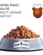 Club 4 Paws Premium Urinary Health Pui hrană uscată pisici sistem urinar 14kg