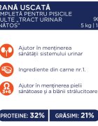 Club 4 Paws Premium Urinary Health Pui hrană uscată pisici sistem urinar 2kg