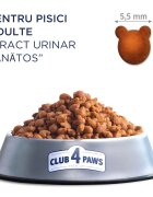 Club 4 Paws Premium Urinary Health Pui hrană uscată pisici sistem urinar 2kg