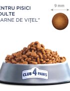 Club 4 Paws Premium Vită hrană uscată pisici 300g