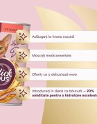 DELICKCIOUS Băutură Pui conservă recompense pisici (topping) 140g