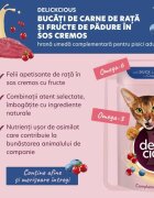 DELICKCIOUS Dessert Rață și Fructe de Pădure plic hrană umedă pisici (în sos) 80g