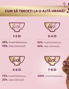 DELICKCIOUS Dessert XS-S Curcan și Fructe Tropicale plic hrană umedă câini (în sos) 80g