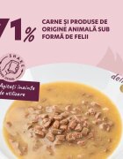 DELICKCIOUS Dessert XS-S Curcan și Fructe Tropicale plic hrană umedă câini (în sos) 80g