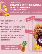 DELICKCIOUS Dessert XS-S Curcan și Fructe Tropicale plic hrană umedă câini (în sos) bax 80g x 12buc