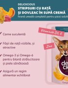 DELICKCIOUS Dinner Rață și dovleac plic hrană umedă pisici (în supă) 85g
