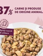 DELICKCIOUS Dinner Rață și Pui plic hrană umedă pisici (în sos) 85g