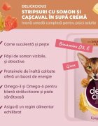 DELICKCIOUS Dinner Somon și Brânză plic hrană umedă pisici (în supă) bax 85g x 12buc