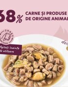 DELICKCIOUS Dinner Somon și Midii plic hrană umedă pisici (în sos) 85g