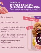 DELICKCIOUS Dinner XS-S Curcan și Brânză plic hrană umedă câini (în supă) 85g