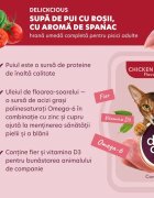 DELICKCIOUS Supă Pui și Roșii bol hrană umedă pisici (în supă) bax 80g x 12buc