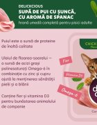 DELICKCIOUS Supă Pui și Șuncă bol hrană umedă pisici (în supă) bax 80g x 12buc