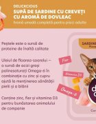 DELICKCIOUS Supă Sardine și Creveți bol hrană umedă pisici (în supă) 80g