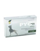 Dermoscent PYO Clean Oto soluție igiena urechilor pipete câini calmantă antibacteriene cutie 10buc