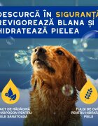 DOUXO SPA Conditioner Oatmeal balsam câini hidratant descâlcirea blănii Vanilie și Nucă de cocos flacon 250ml