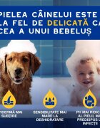 DOUXO SPA Conditioner Oatmeal balsam câini hidratant descâlcirea blănii Vanilie și Nucă de cocos flacon 250ml