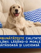 DOUXO SPA Conditioner Oatmeal balsam câini hidratant descâlcirea blănii Vanilie și Nucă de cocos flacon 250ml
