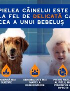 DOUXO SPA Detangling spray descâlcit câini descâlcirea blănii Vanilie și Nucă de cocos flacon 295ml