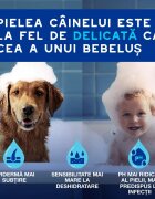 DOUXO SPA Ear Cleaner dewaxing soluție igiena urechilor câini și pisici hidratantă hipoalergenică flacon cu aplicator 120ml