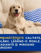 DOUXO SPA Hydrating Oatmeal șampon câini hidratant Vanilie și Nucă de cocos flacon 250ml