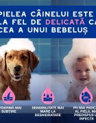 DOUXO SPA Itch Soothing șampon câini anti-mâncărime calmant Vanilie și Nucă de cocos flacon 250ml