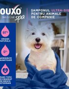 DOUXO SPA Itch Soothing șampon câini anti-mâncărime calmant Vanilie și Nucă de cocos flacon 250ml