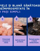 DOUXO SPA Low-Stress Refresh Mousse șampon spumă pisici fără clătire hidratantă Vanilie și Nucă de cocos flacon cu aplicator 150ml