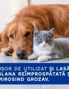 DOUXO SPA Multipurpose șervețele umede câini și pisici hipoalergenice Vanilie și Nucă de cocos resigilabil 100buc
