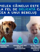 DOUXO SPA Odor Control șampon câini anti-mătreață Vanilie și Nucă de cocos flacon 250ml