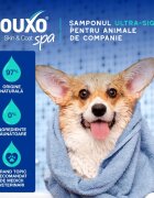 DOUXO SPA Odor Control șampon câini anti-mătreață Vanilie și Nucă de cocos flacon 250ml