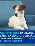 DOUXO SPA Odor Control șampon câini anti-mătreață Vanilie și Nucă de cocos flacon 250ml