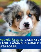 DOUXO SPA Puppy șampon câini junior hidratant hipoalergenic Vanilie și Nucă de cocos flacon 250ml