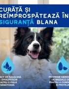 DOUXO SPA Quick Refresh Mousse șampon spumă câini fără clătire hidratantă Vanilie și Nucă de cocos flacon 150ml