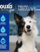 DOUXO SPA Quick Refresh Mousse șampon spumă câini fără clătire hidratantă Vanilie și Nucă de cocos flacon 150ml