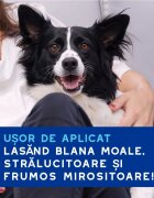 DOUXO SPA Quick Refresh Mousse șampon spumă câini fără clătire hidratantă Vanilie și Nucă de cocos flacon 150ml